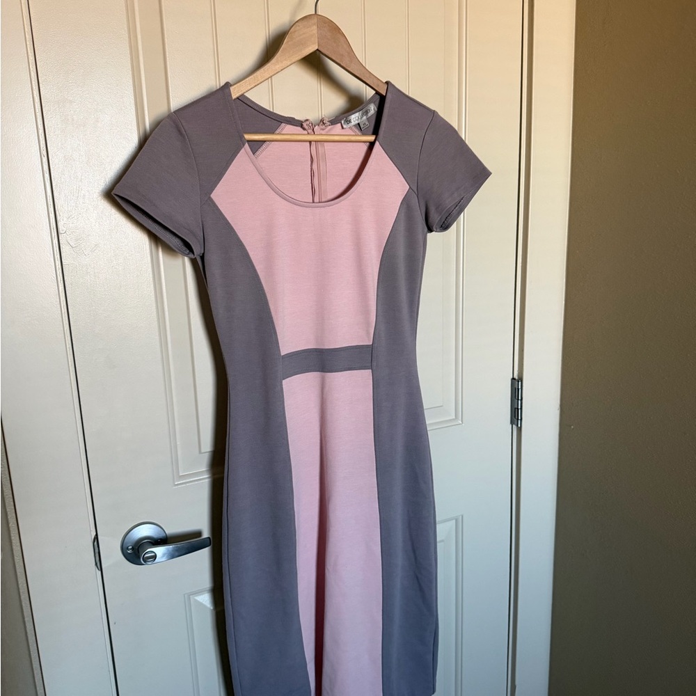 DownEast Pink and Gray Midi Dress